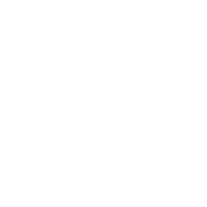 SDSport